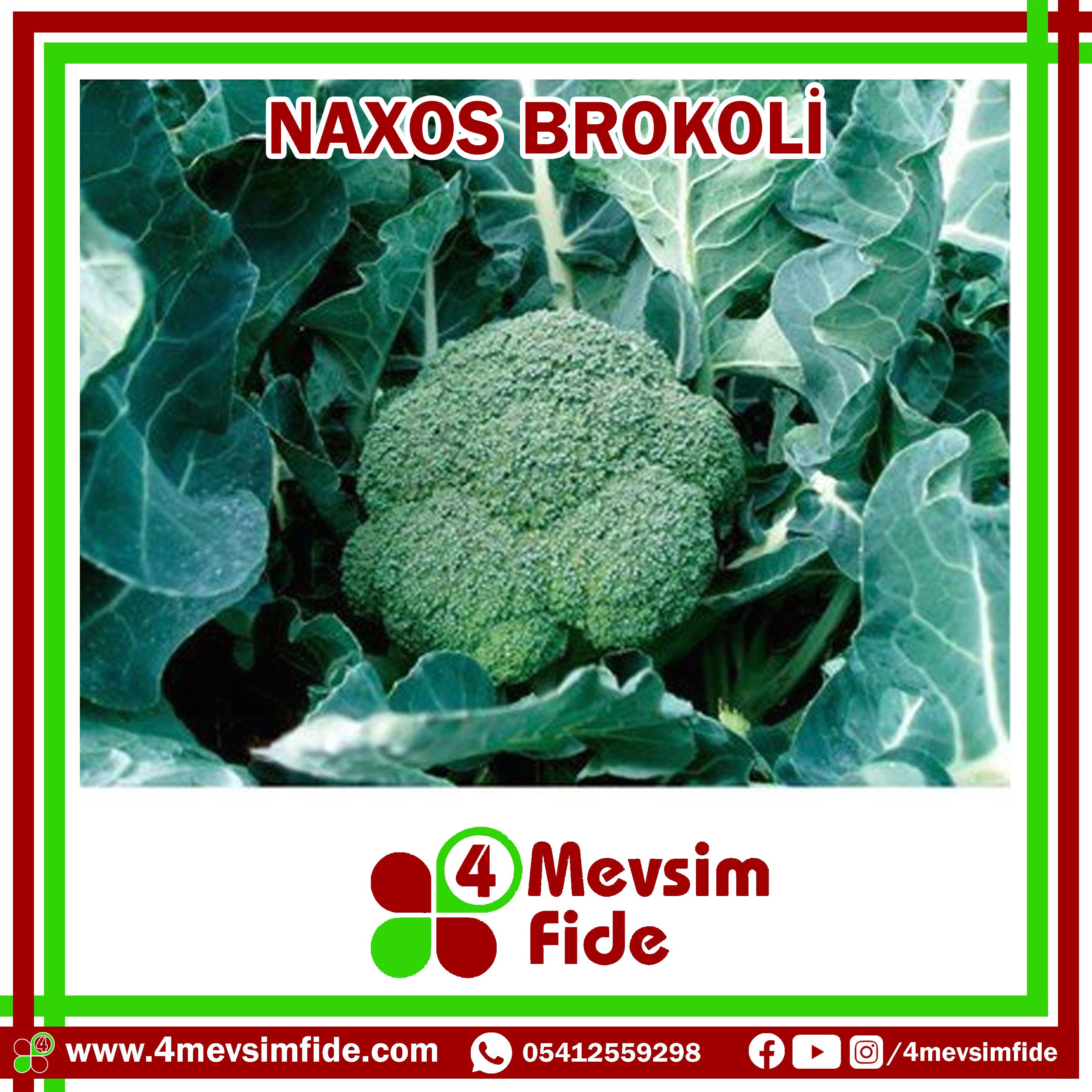 naxos f1 brokoli fidesi